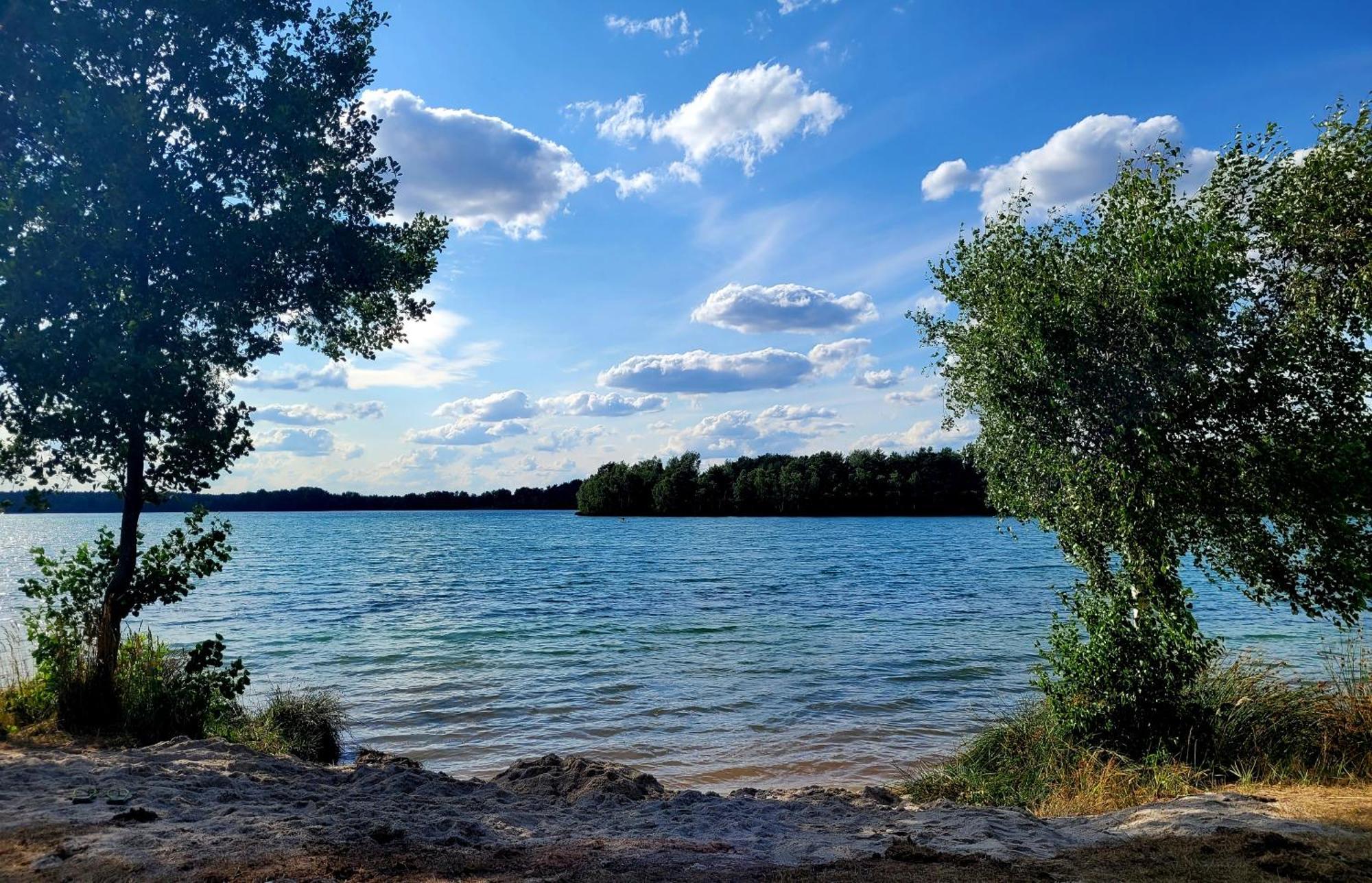 Ferienwohnung Seeglueck Im Oberpfaelzer Seenland シュヴァンドルフ・イン・バイエルン 部屋 写真